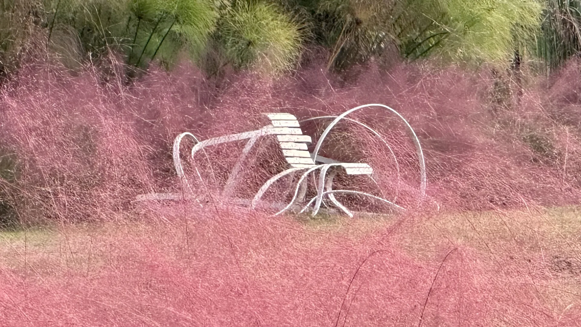 Banco escultórico entre flores rosadas
