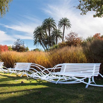 Bancos escultóricos en el jardín